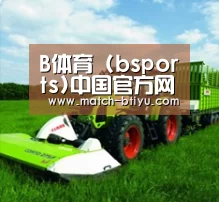 关于bsport