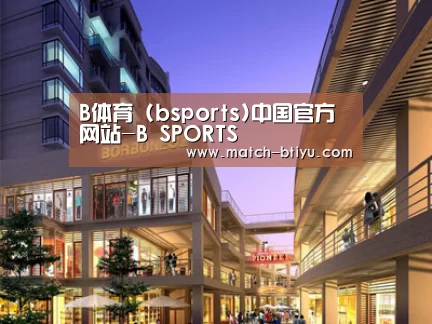 案例展示一(图1)