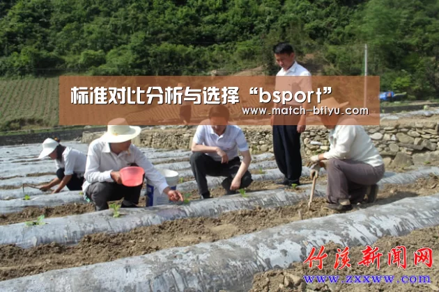 bsport中国官网