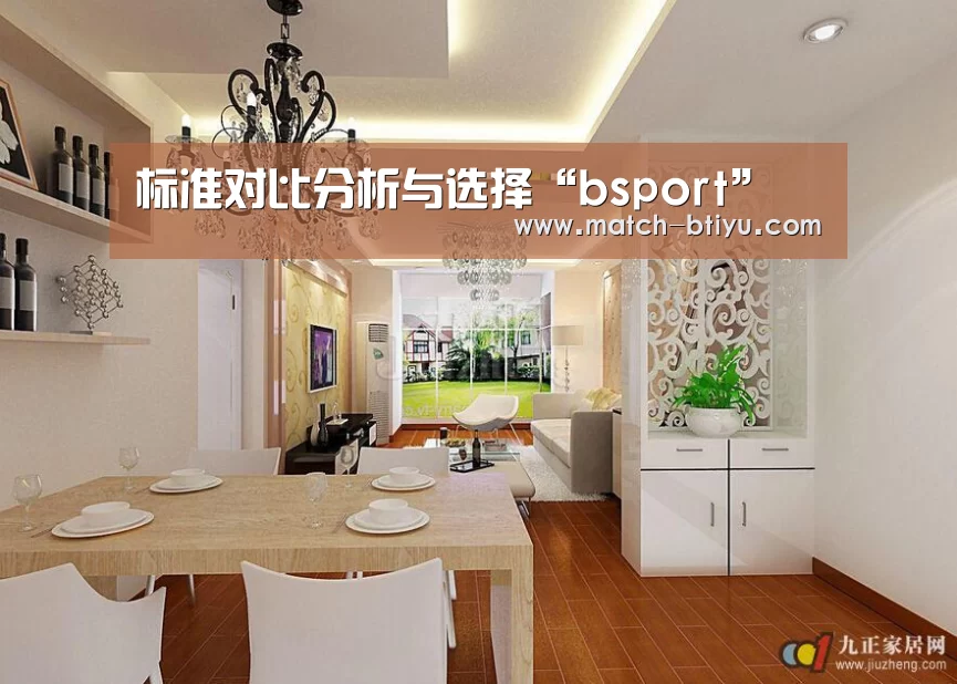 标准对比分析与选择“bsport”(图3)