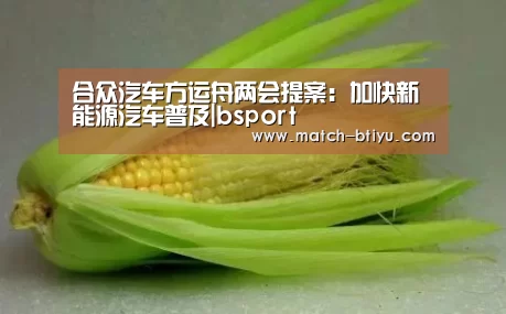 合众汽车方运舟两会提案:加快新能源汽车普及|bsport(图2) 合众汽车方运舟两会提案:加快新能源汽车普及|bsport(图2)